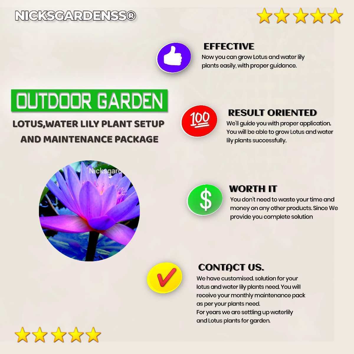 For Outdoor, Garden: Lotus, Water Lily Setup And maintenance Package
