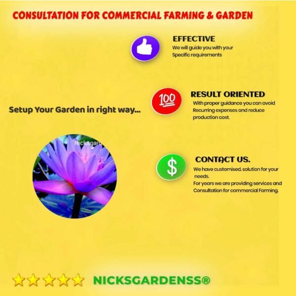 Consultation for commercial farming and gardening.