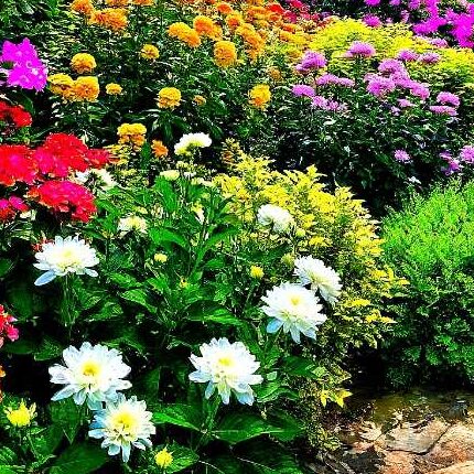 NicksGardenss® Garden Makeover Expert Visit"