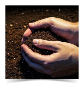 NICKSGARDENSS® Soil-less Secret